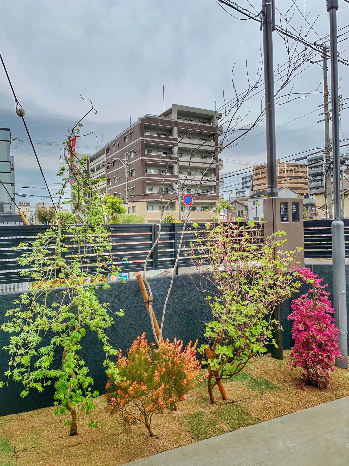 PLANTING　スライダー画像
