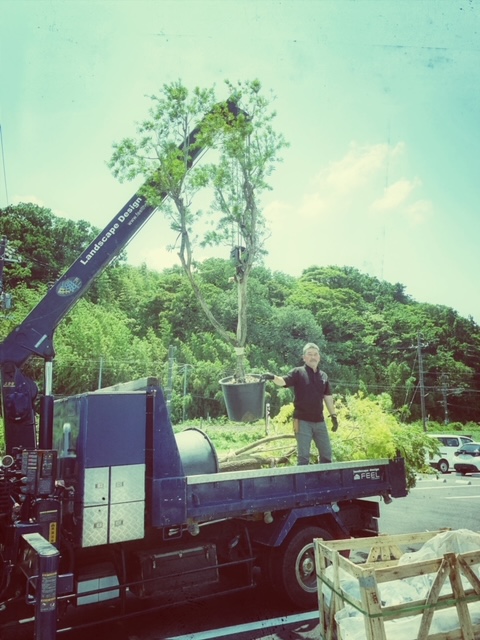 FEEL THE GREEN PLANTING　スライダー画像