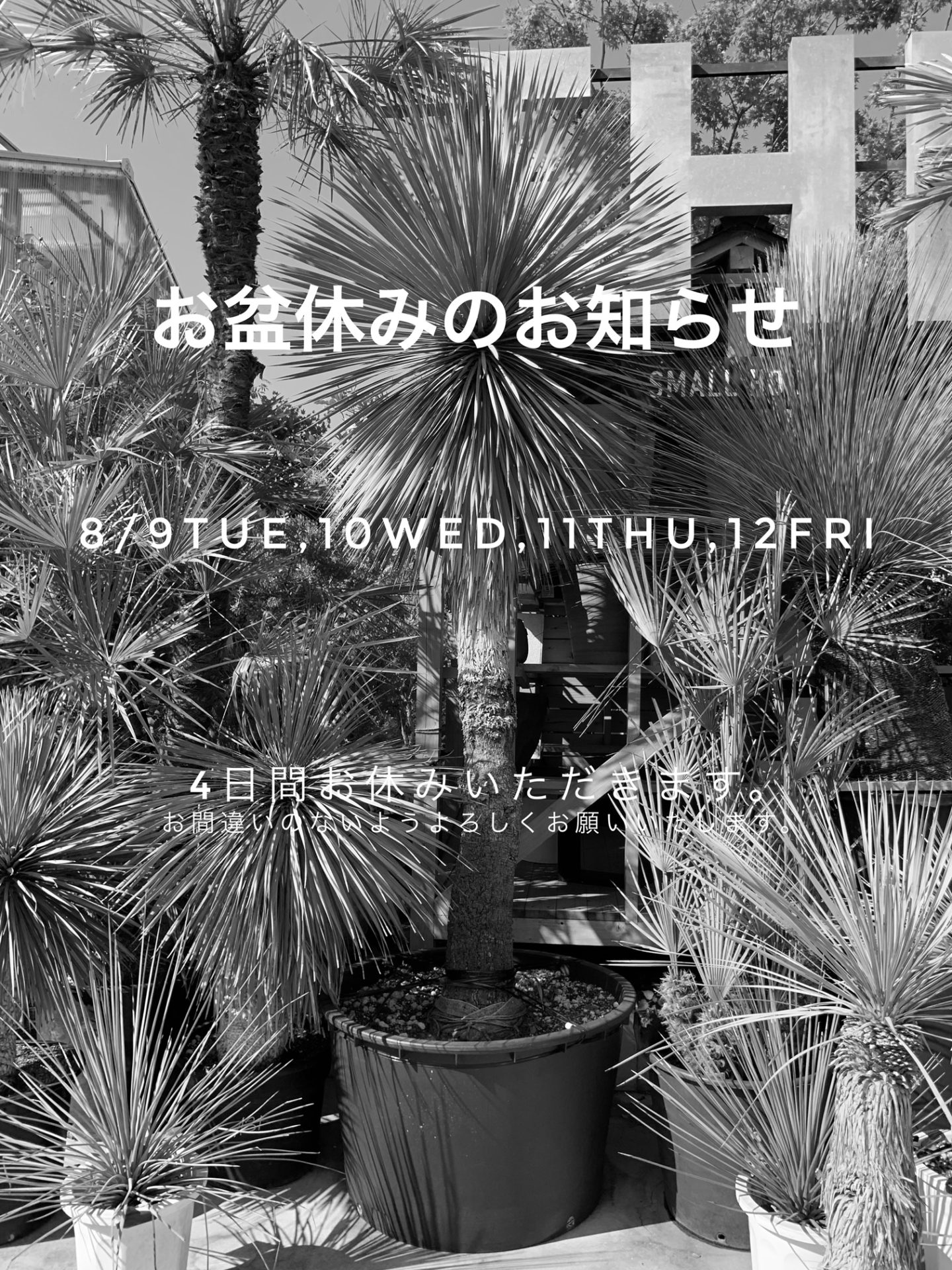 お盆休みのお知らせ