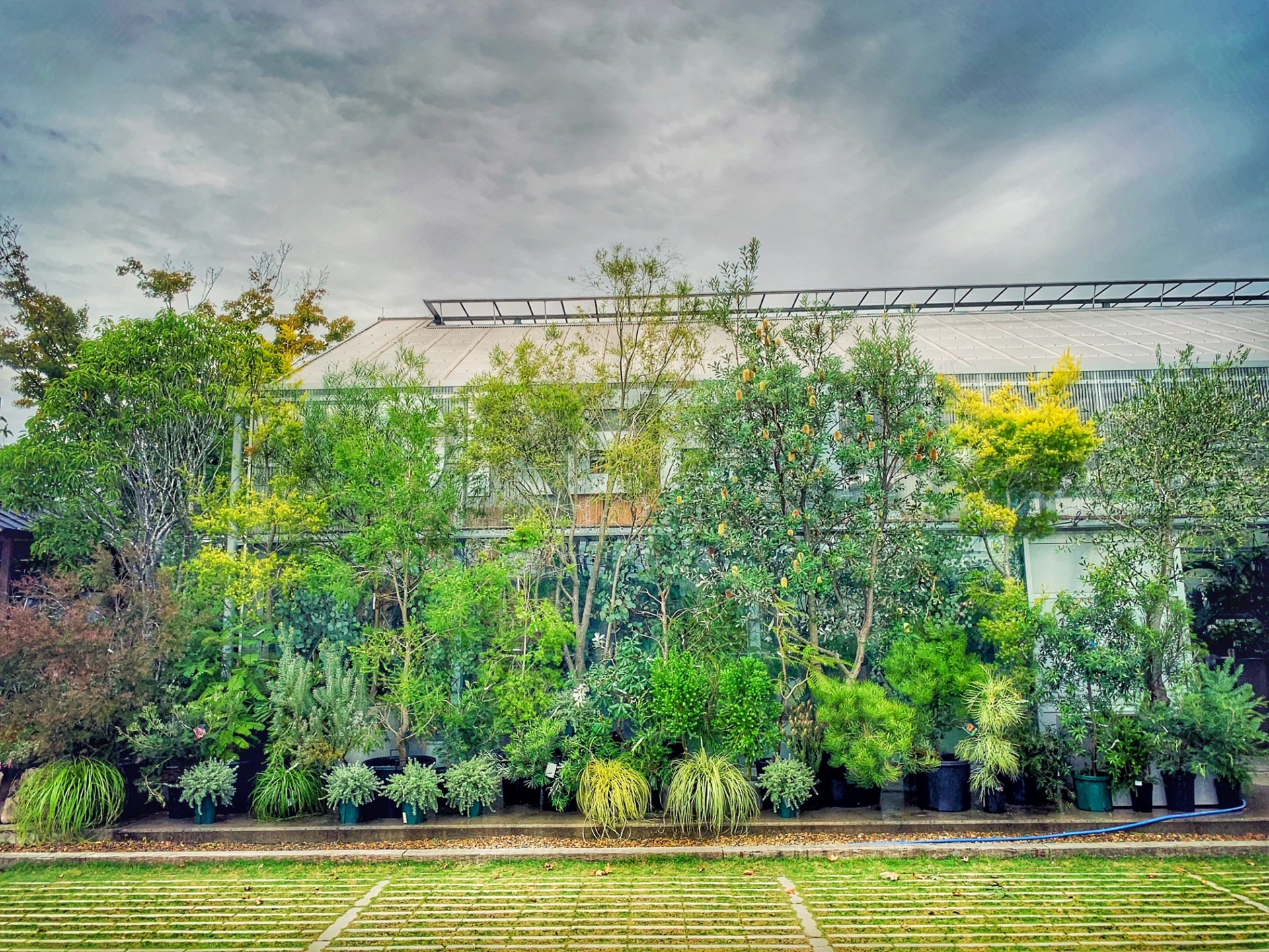 Our store’s exterior is lush with greenery　スライダー画像