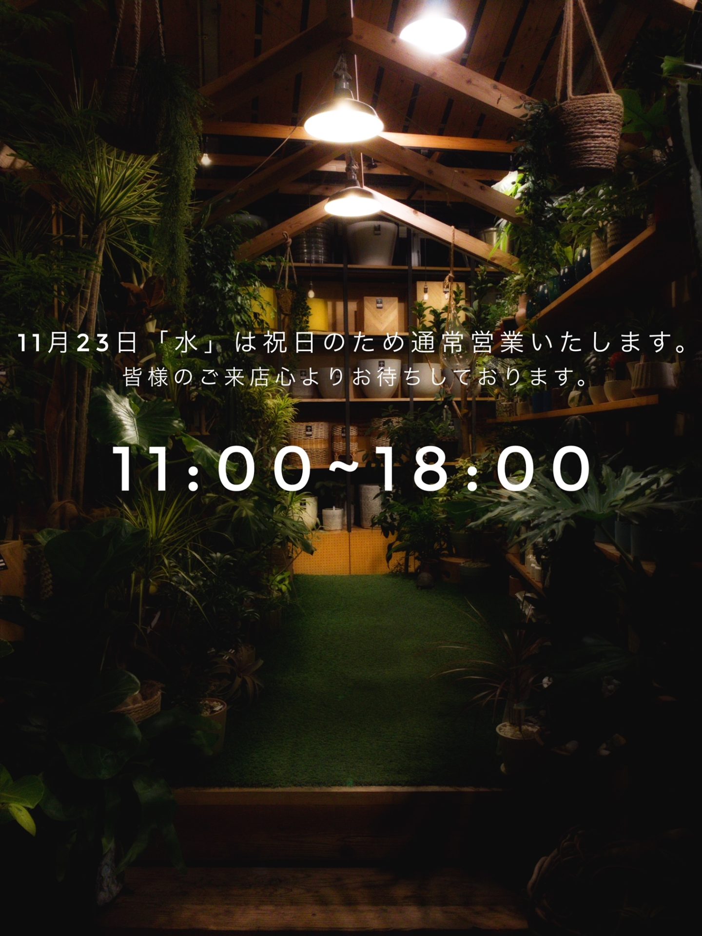 11月23日(水)は祝日の為営業いたします。