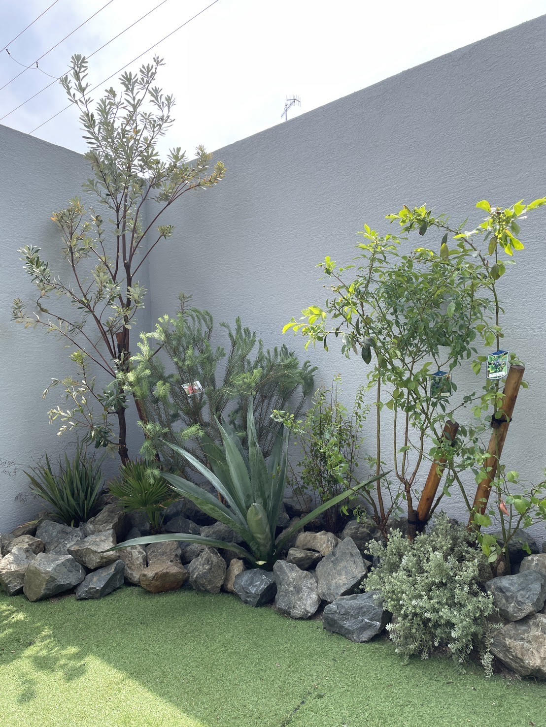 It’s an honor to take care of the garden planting　スライダー画像